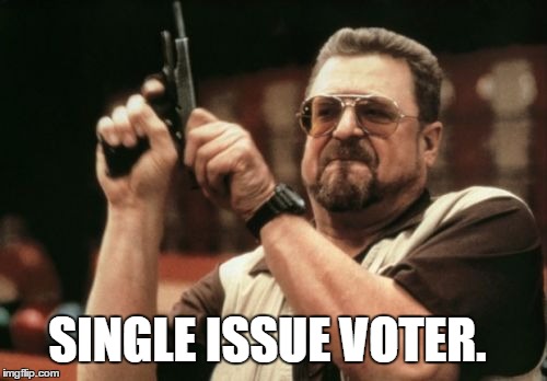 Am I The Only One Around Here Meme | SINGLE ISSUE VOTER. | image tagged in memes,am i the only one around here | made w/ Imgflip meme maker