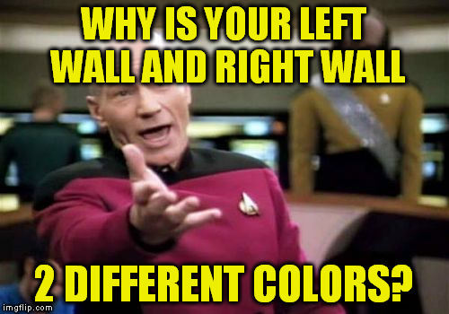 Picard Wtf Meme | WHY IS YOUR LEFT WALL AND RIGHT WALL 2 DIFFERENT COLORS? | image tagged in memes,picard wtf | made w/ Imgflip meme maker