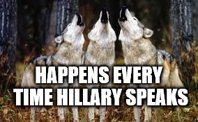 Hillary Clinton annoying speech | HAPPENS EVERY TIME HILLARY SPEAKS | image tagged in howling dogs,hillary clinton,memes,meme,annoying voice | made w/ Imgflip meme maker