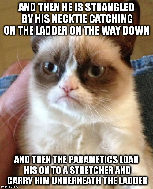 Grumpy Cat Meme | AND THEN HE IS STRANGLED BY HIS NECKTIE CATCHING ON THE LADDER ON THE WAY DOWN AND THEN THE PARAMETICS LOAD HIS ON TO A STRETCHER AND CARRY  | image tagged in memes,grumpy cat | made w/ Imgflip meme maker