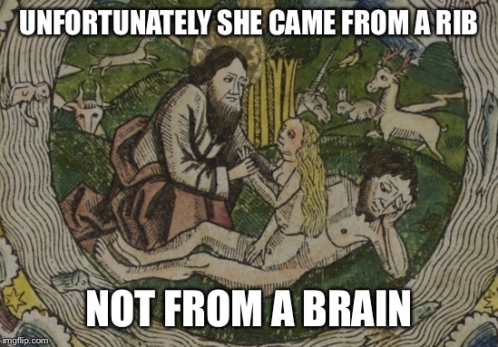 UNFORTUNATELY SHE CAME FROM A RIB; NOT FROM A BRAIN | image tagged in women | made w/ Imgflip meme maker