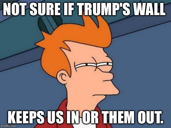 Futurama Fry | NOT SURE IF TRUMP'S WALL; KEEPS US IN OR THEM OUT. | image tagged in memes,futurama fry | made w/ Imgflip meme maker