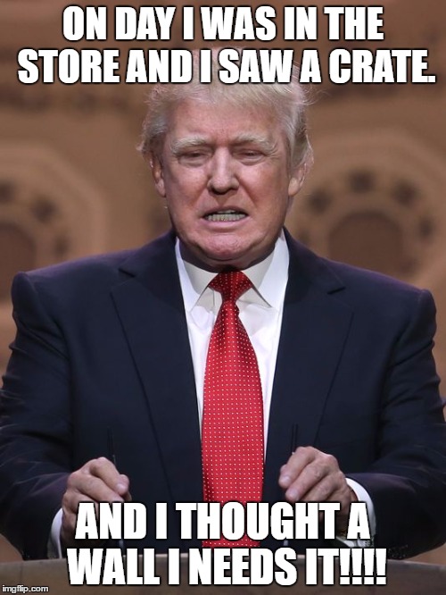 Donald Trump | ON DAY I WAS IN THE STORE AND I SAW A CRATE. AND I THOUGHT A WALL I NEEDS IT!!!! | image tagged in donald trump | made w/ Imgflip meme maker
