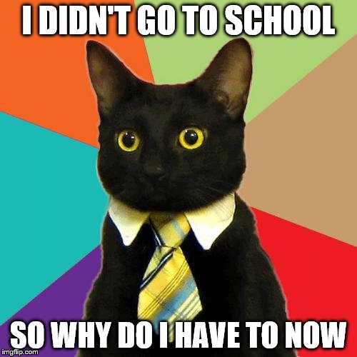 Business Cat Meme | I DIDN'T GO TO SCHOOL; SO WHY DO I HAVE TO NOW | image tagged in memes,business cat | made w/ Imgflip meme maker