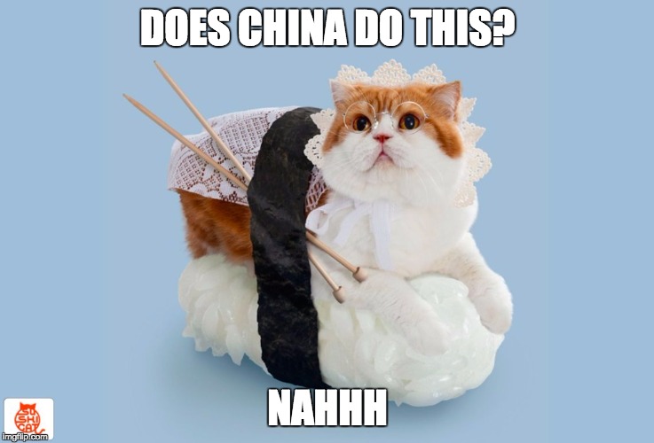 A racist joke that really isn't a joke cause its not funny and i just offended alot of people srry!!! | DOES CHINA DO THIS? NAHHH | image tagged in sushi cat,china | made w/ Imgflip meme maker