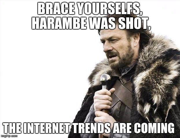 Brace Yourselves X is Coming Meme | BRACE YOURSELFS, HARAMBE WAS SHOT, THE INTERNET TRENDS ARE COMING | image tagged in memes,brace yourselves x is coming | made w/ Imgflip meme maker