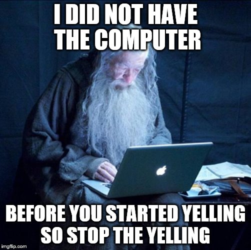 Computer Gandalf | I DID NOT HAVE THE COMPUTER; BEFORE YOU STARTED YELLING SO STOP THE YELLING | image tagged in computer gandalf | made w/ Imgflip meme maker