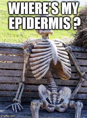 Waiting Skeleton | WHERE'S MY EPIDERMIS ? | image tagged in memes,waiting skeleton | made w/ Imgflip meme maker