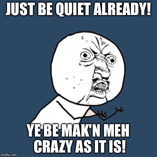 Y U No | JUST BE QUIET ALREADY! YE BE MAK'N MEH CRAZY AS IT IS! | image tagged in memes,y u no | made w/ Imgflip meme maker