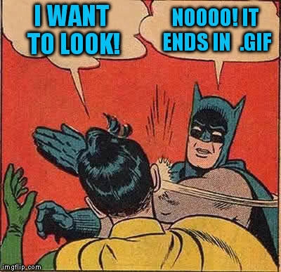 Batman Slapping Robin Meme | I WANT TO LOOK! NOOOO! IT ENDS IN  .GIF | image tagged in memes,batman slapping robin | made w/ Imgflip meme maker