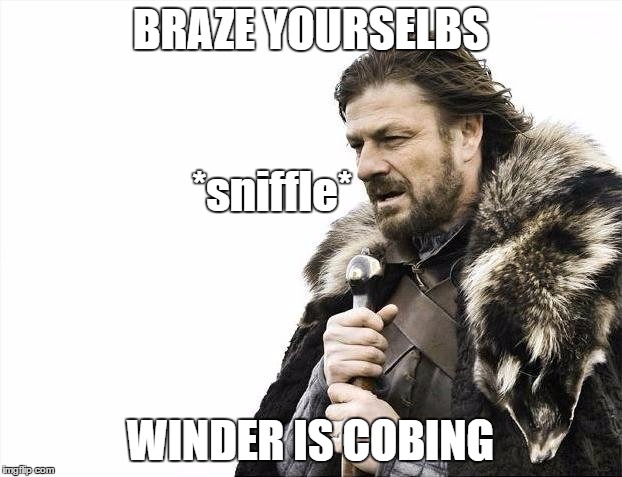 Brace Yourselves X is Coming Meme | BRAZE YOURSELBS; *sniffle*; WINDER IS COBING | image tagged in memes,brace yourselves x is coming | made w/ Imgflip meme maker