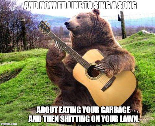 Bear With Guitar | AND NOW I'D LIKE TO SING A SONG; ABOUT EATING YOUR GARBAGE AND THEN SHITTING ON YOUR LAWN. | image tagged in bear with guitar | made w/ Imgflip meme maker