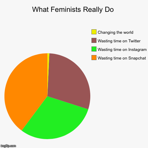 image tagged in funny,pie charts,feminism | made w/ Imgflip chart maker