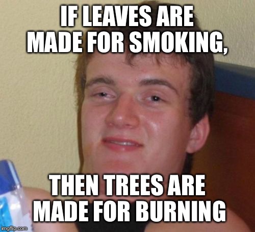 10 Guy Meme | IF LEAVES ARE MADE FOR SMOKING, THEN TREES ARE MADE FOR BURNING | image tagged in memes,10 guy | made w/ Imgflip meme maker