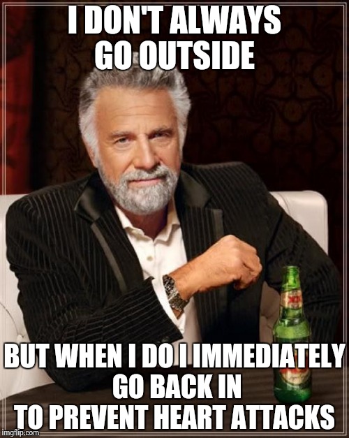 The Most Interesting Man In The World Meme | I DON'T ALWAYS GO OUTSIDE; BUT WHEN I DO I IMMEDIATELY GO BACK IN TO PREVENT HEART ATTACKS | image tagged in memes,the most interesting man in the world | made w/ Imgflip meme maker