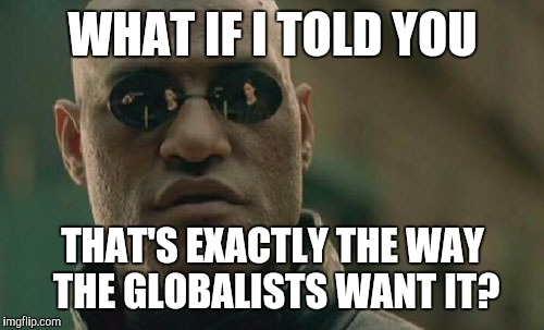 Matrix Morpheus Meme | WHAT IF I TOLD YOU THAT'S EXACTLY THE WAY THE GLOBALISTS WANT IT? | image tagged in memes,matrix morpheus | made w/ Imgflip meme maker