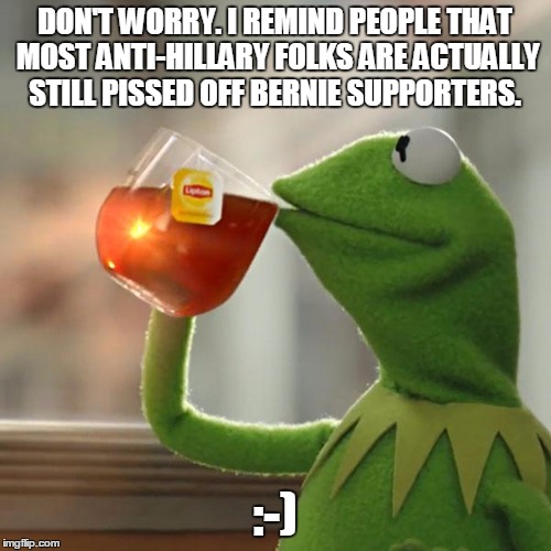 But That's None Of My Business Meme | DON'T WORRY. I REMIND PEOPLE THAT MOST ANTI-HILLARY FOLKS ARE ACTUALLY STILL PISSED OFF BERNIE SUPPORTERS. :-) | image tagged in memes,but thats none of my business,kermit the frog | made w/ Imgflip meme maker