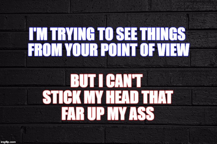 Your Point Of View | BUT I CAN'T STICK MY HEAD THAT FAR UP MY ASS; I'M TRYING TO SEE THINGS FROM YOUR POINT OF VIEW | image tagged in stick it up your ass,your point of view stinks,head up ass | made w/ Imgflip meme maker