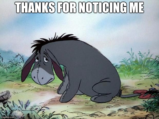 eeyore | THANKS FOR NOTICING ME | image tagged in eeyore | made w/ Imgflip meme maker