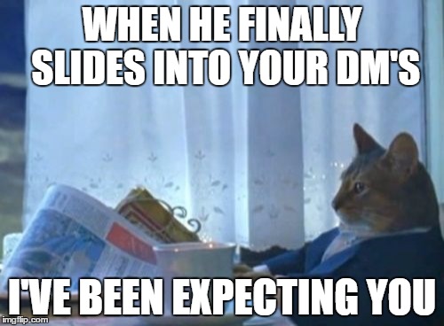 I Should Buy A Boat Cat | WHEN HE FINALLY SLIDES INTO YOUR DM'S; I'VE BEEN EXPECTING YOU | image tagged in memes,i should buy a boat cat | made w/ Imgflip meme maker
