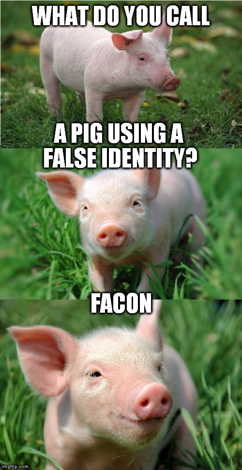 WHAT DO YOU CALL; A PIG USING A FALSE IDENTITY? FACON | image tagged in pig latin | made w/ Imgflip meme maker
