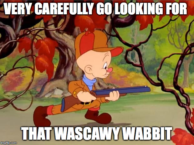 Elmer Fudd | VERY CAREFULLY GO LOOKING FOR; THAT WASCAWY WABBIT | image tagged in elmer fudd | made w/ Imgflip meme maker