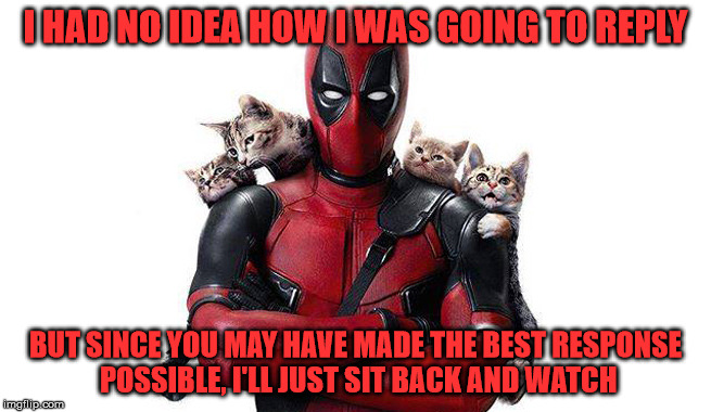 Deadpool With Kittens | I HAD NO IDEA HOW I WAS GOING TO REPLY BUT SINCE YOU MAY HAVE MADE THE BEST RESPONSE POSSIBLE, I'LL JUST SIT BACK AND WATCH | image tagged in deadpool with kittens | made w/ Imgflip meme maker