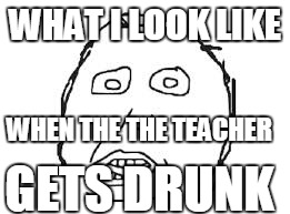 herp | WHAT I LOOK LIKE; WHEN THE THE TEACHER; GETS DRUNK | image tagged in herp | made w/ Imgflip meme maker