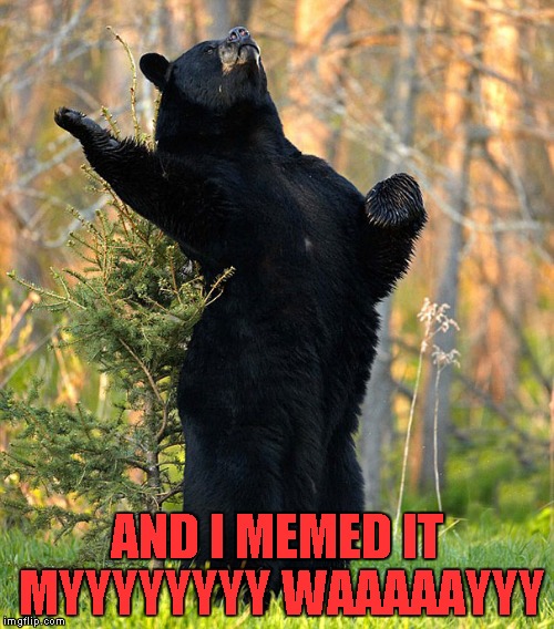 When people try to tell you how you should make memes... | AND I MEMED IT MYYYYYYYY WAAAAAYYY | image tagged in singing bear,memes,funny,bears,animals,funny animals | made w/ Imgflip meme maker