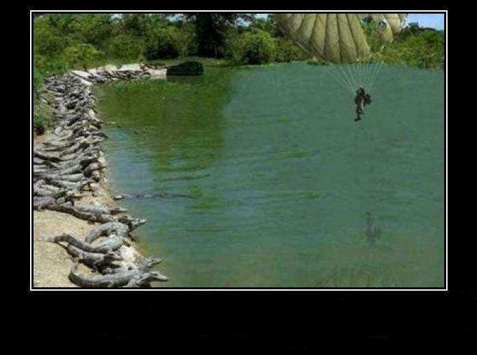 Alligator Farm Paratrooper Blank Meme Template