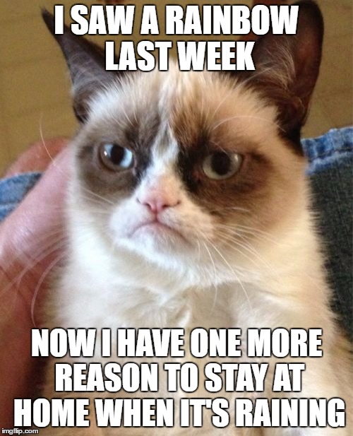 Rainbows are giving Grympy a headache | I SAW A RAINBOW LAST WEEK; NOW I HAVE ONE MORE REASON TO STAY AT HOME WHEN IT'S RAINING | image tagged in grumpy cat,rainbow,life sucks,not really | made w/ Imgflip meme maker