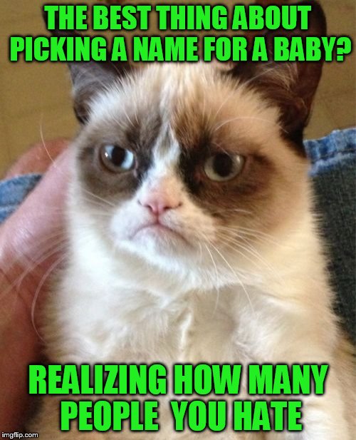 Grumpy Cat Meme | THE BEST THING ABOUT PICKING A NAME FOR A BABY? REALIZING HOW MANY PEOPLE  YOU HATE | image tagged in memes,grumpy cat | made w/ Imgflip meme maker