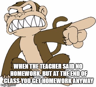 Family guy evil monkey | WHEN THE TEACHER SAID NO HOMEWORK, BUT AT THE END OF CLASS YOU GET HOMEWORK ANYWAY | image tagged in family guy evil monkey | made w/ Imgflip meme maker