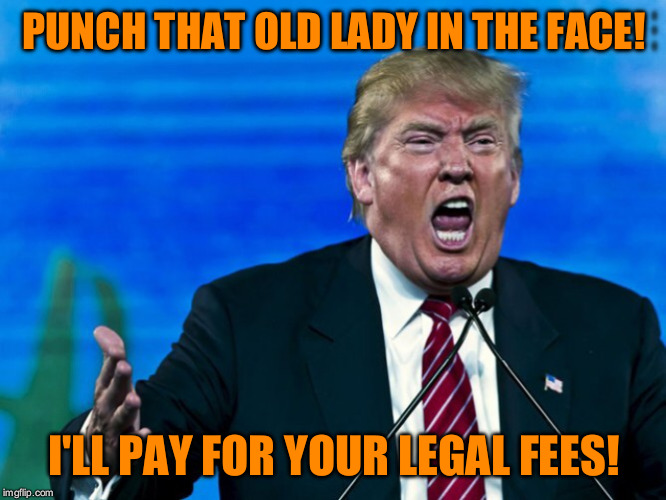 trump yelling | PUNCH THAT OLD LADY IN THE FACE! I'LL PAY FOR YOUR LEGAL FEES! | image tagged in trump yelling | made w/ Imgflip meme maker