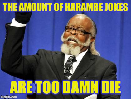 Rip Harambe, You will be "Ramembered" | THE AMOUNT OF HARAMBE JOKES; ARE TOO DAMN DIE | image tagged in memes,too damn high,harambe,funny,jokes | made w/ Imgflip meme maker