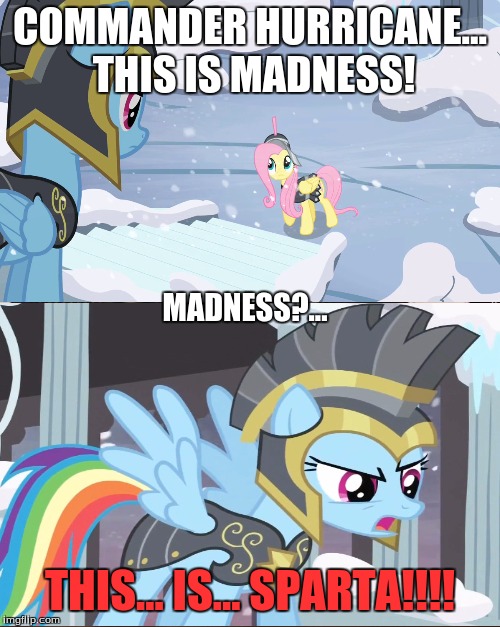 COMMANDER HURRICANE... THIS IS MADNESS! MADNESS?... THIS... IS... SPARTA!!!! | made w/ Imgflip meme maker