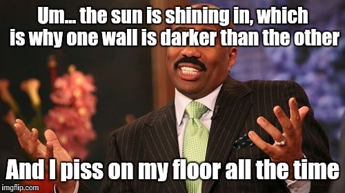 Um... the sun is shining in, which is why one wall is darker than the other And I piss on my floor all the time | image tagged in memes,steve harvey | made w/ Imgflip meme maker