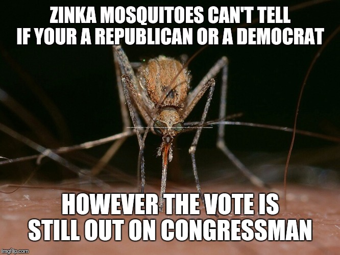 ZINKA MOSQUITOES CAN'T TELL IF YOUR A REPUBLICAN OR A DEMOCRAT; HOWEVER THE VOTE IS STILL OUT ON CONGRESSMAN | image tagged in zinka congress | made w/ Imgflip meme maker