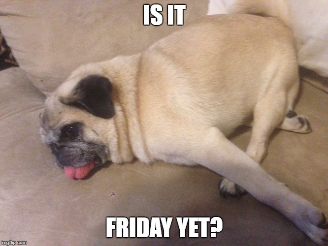 IS IT; FRIDAY YET? | image tagged in owen | made w/ Imgflip meme maker