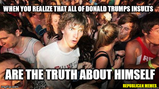 Trump Truth | WHEN YOU REALIZE THAT ALL OF DONALD TRUMPS INSULTS; ARE THE TRUTH ABOUT HIMSELF; REPUBLICAN MEMES | image tagged in sudden realization,trump,donald trump,trump 2016,president 2016 | made w/ Imgflip meme maker