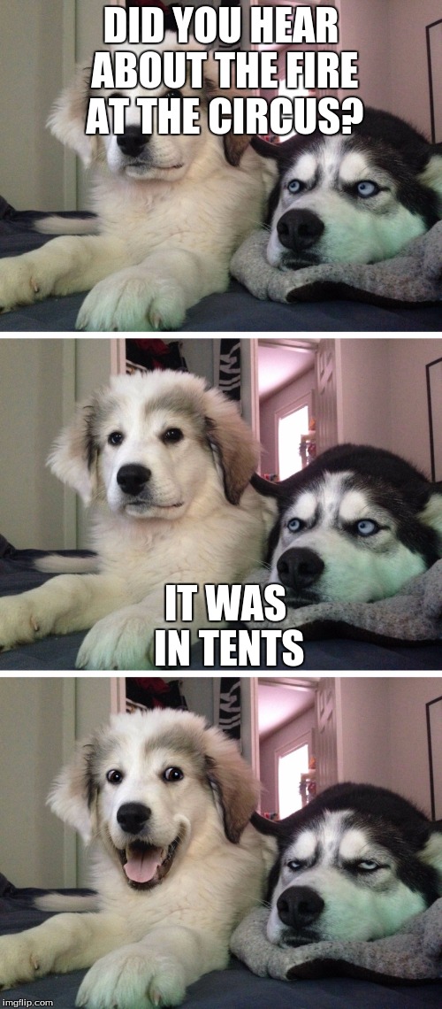 A veteran behind me in the line at Walmart told this joke. | DID YOU HEAR ABOUT THE FIRE AT THE CIRCUS? IT WAS IN TENTS | image tagged in bad pun dogs | made w/ Imgflip meme maker