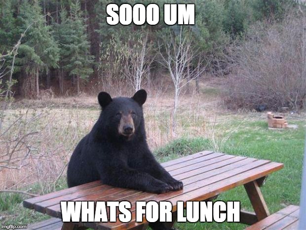Bear of bad news | SOOO UM; WHATS FOR LUNCH | image tagged in bear of bad news | made w/ Imgflip meme maker