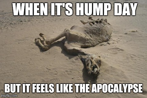 Hump Apocolypse | WHEN IT'S HUMP DAY; BUT IT FEELS LIKE THE APOCALYPSE | image tagged in hump,apocolypse,day,camel,bad day | made w/ Imgflip meme maker