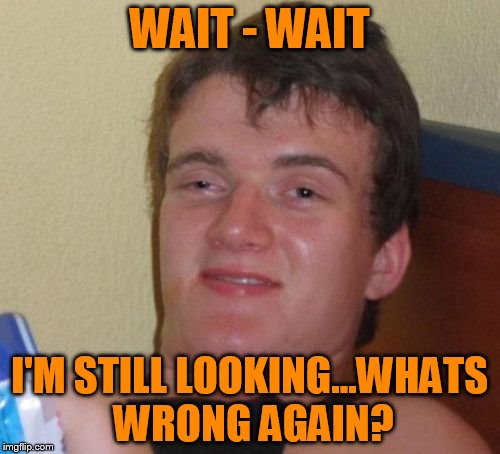 10 Guy Meme | WAIT - WAIT I'M STILL LOOKING...WHATS WRONG AGAIN? | image tagged in memes,10 guy | made w/ Imgflip meme maker