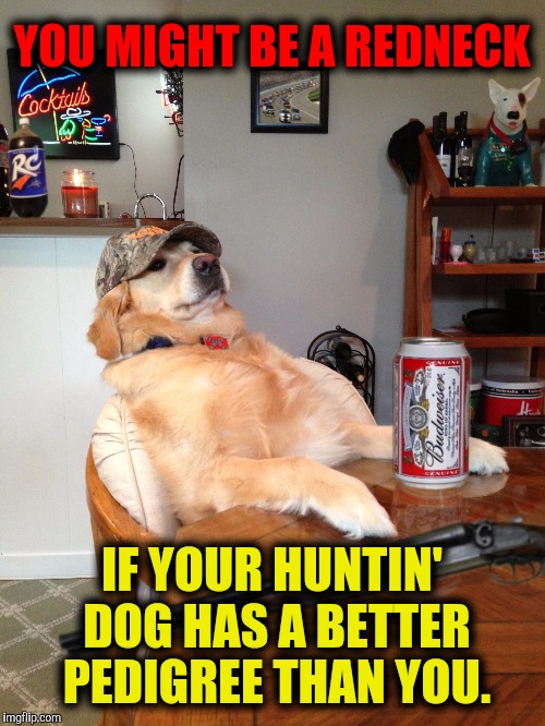 Redneck Rover | YOU MIGHT BE A REDNECK; IF YOUR HUNTIN' DOG HAS A BETTER PEDIGREE THAN YOU. | image tagged in redneck retriever,you might be a redneck | made w/ Imgflip meme maker