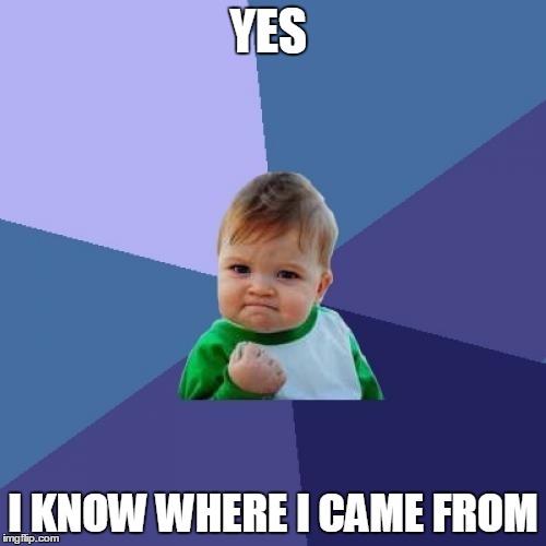Success Kid | YES; I KNOW WHERE I CAME FROM | image tagged in memes,success kid | made w/ Imgflip meme maker