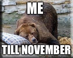 Hibernation Bear | ME; TILL NOVEMBER | image tagged in hibernation bear | made w/ Imgflip meme maker