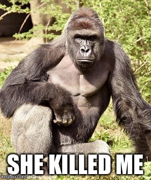 Ape | SHE KILLED ME | image tagged in ape | made w/ Imgflip meme maker