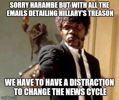 Say That Again I Dare You Meme | SORRY HARAMBE BUT WITH ALL THE EMAILS DETAILING HILLARY'S TREASON WE HAVE TO HAVE A DISTRACTION TO CHANGE THE NEWS CYCLE | image tagged in memes,say that again i dare you | made w/ Imgflip meme maker