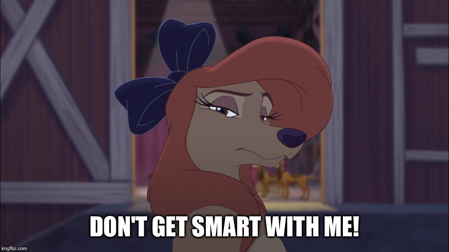 Don't Get Smart With Me! | DON'T GET SMART WITH ME! | image tagged in dixie serious,memes,disney,the fox and the hound 2,reba mcentire,dog | made w/ Imgflip meme maker